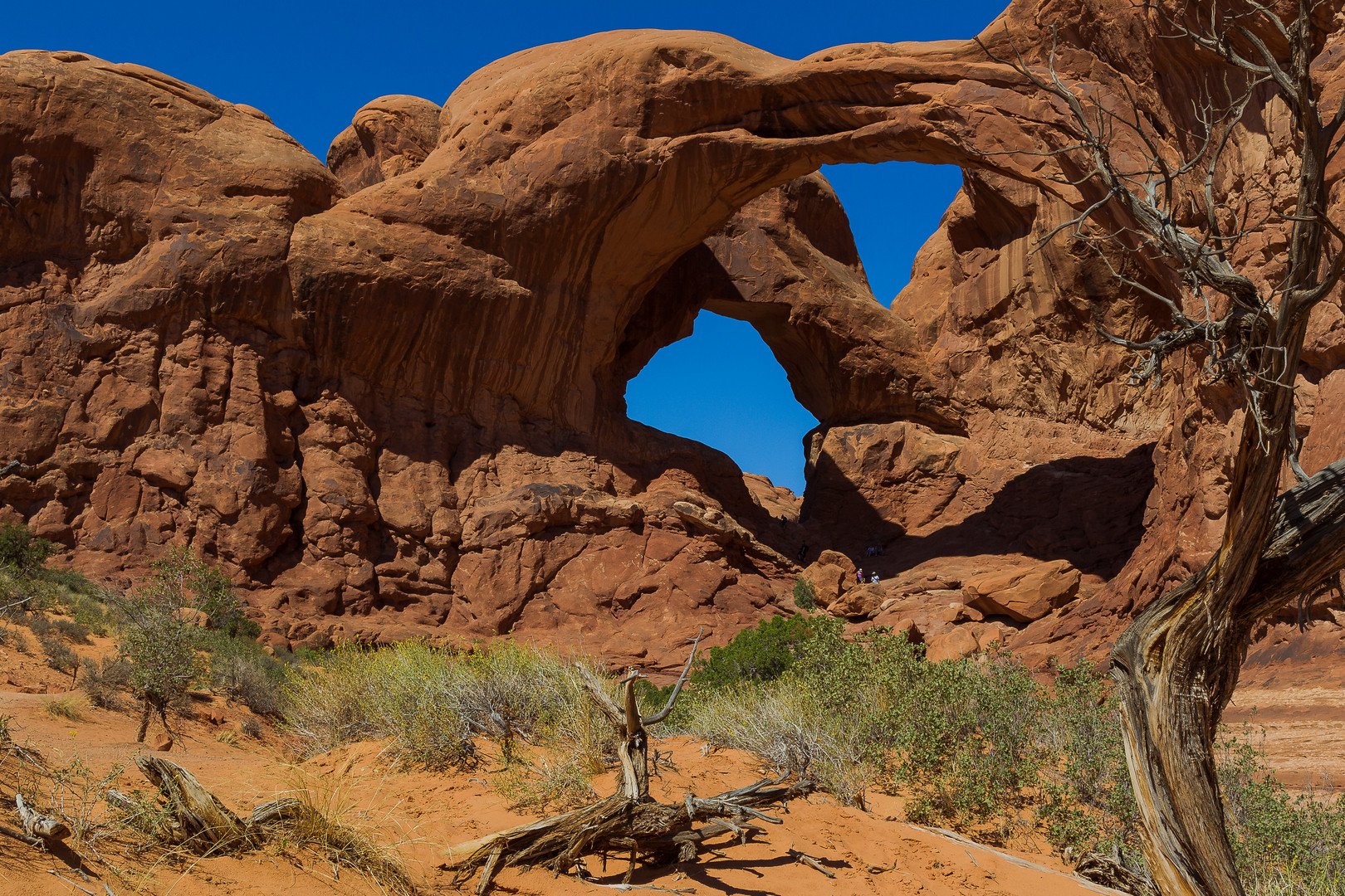 Double Arch