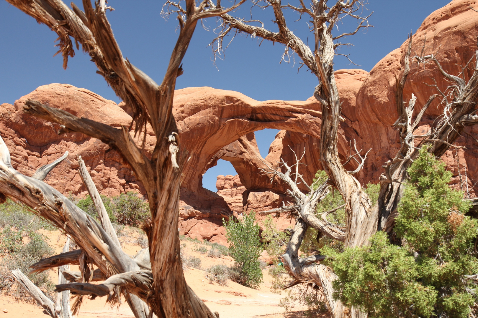 Double Arch