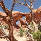 Double Arch