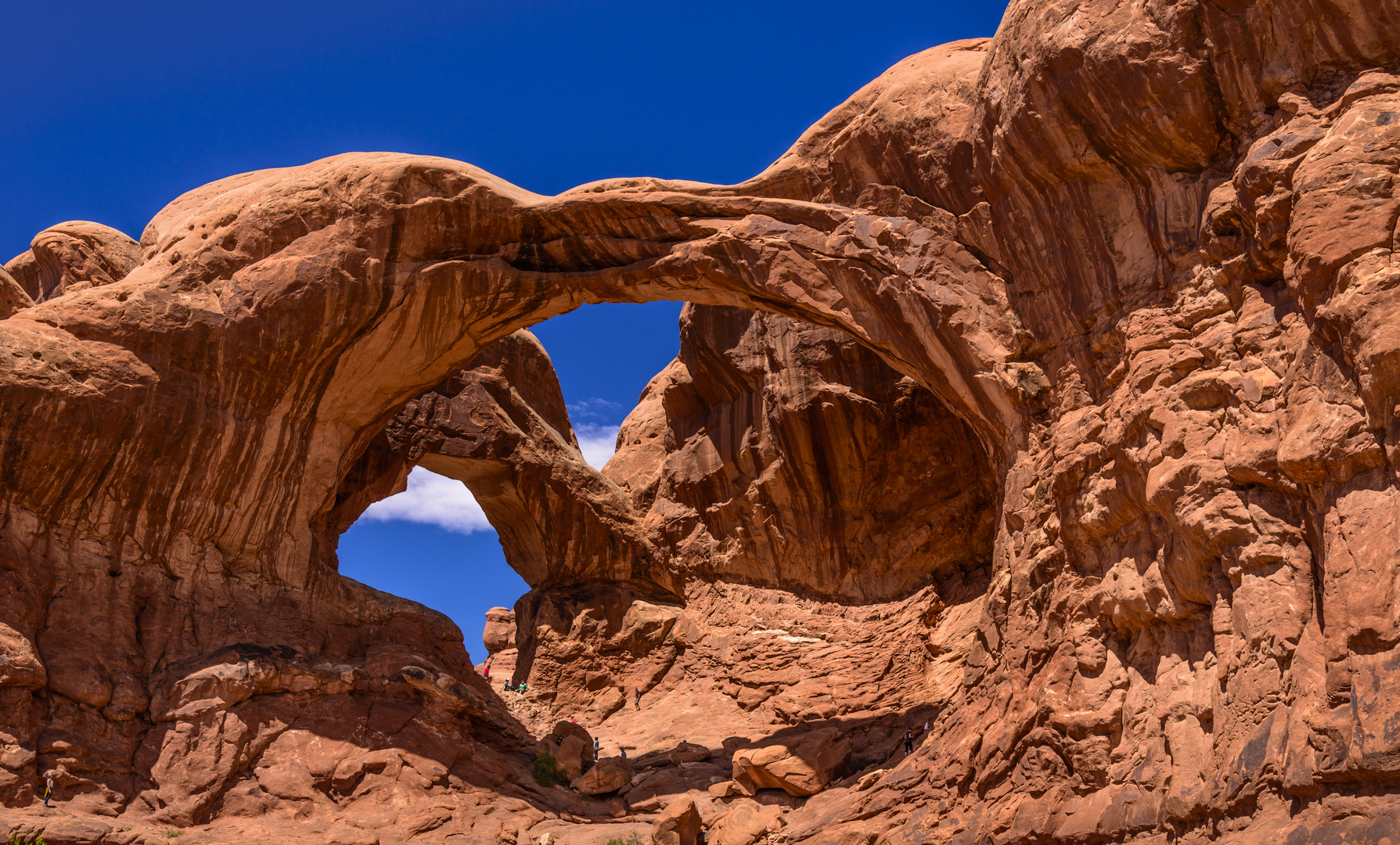 Double Arch, Arches NP, Utah, USA