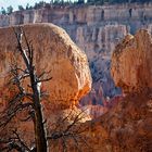 Double Boulder