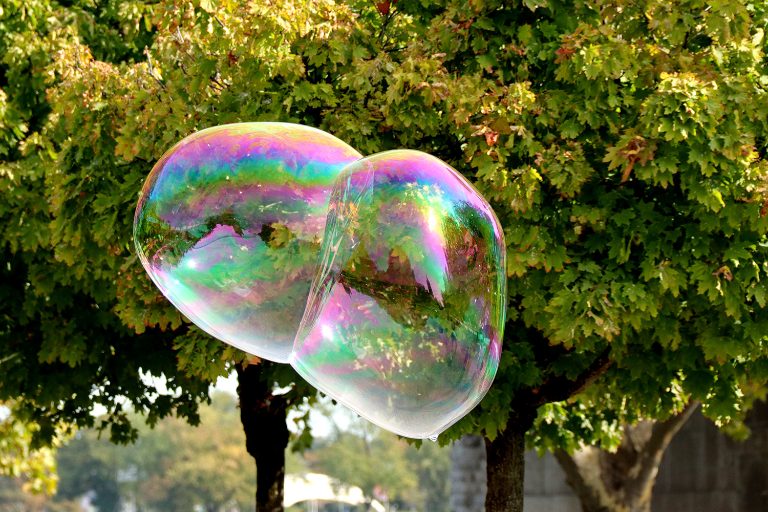 Double Bubble