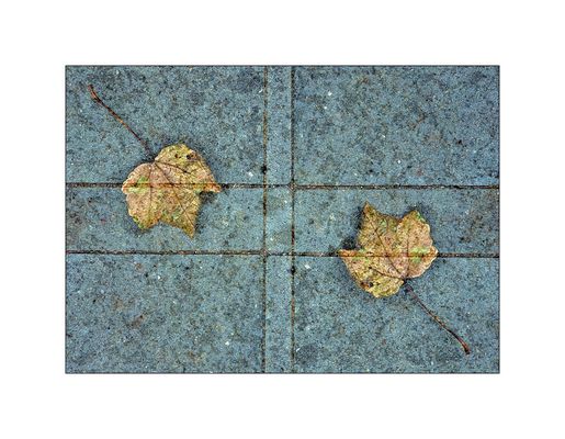 Double exposures #373