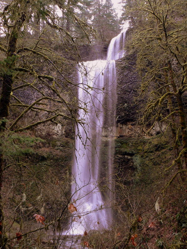 Double Falls In dem Silvercreek state Park Oregon