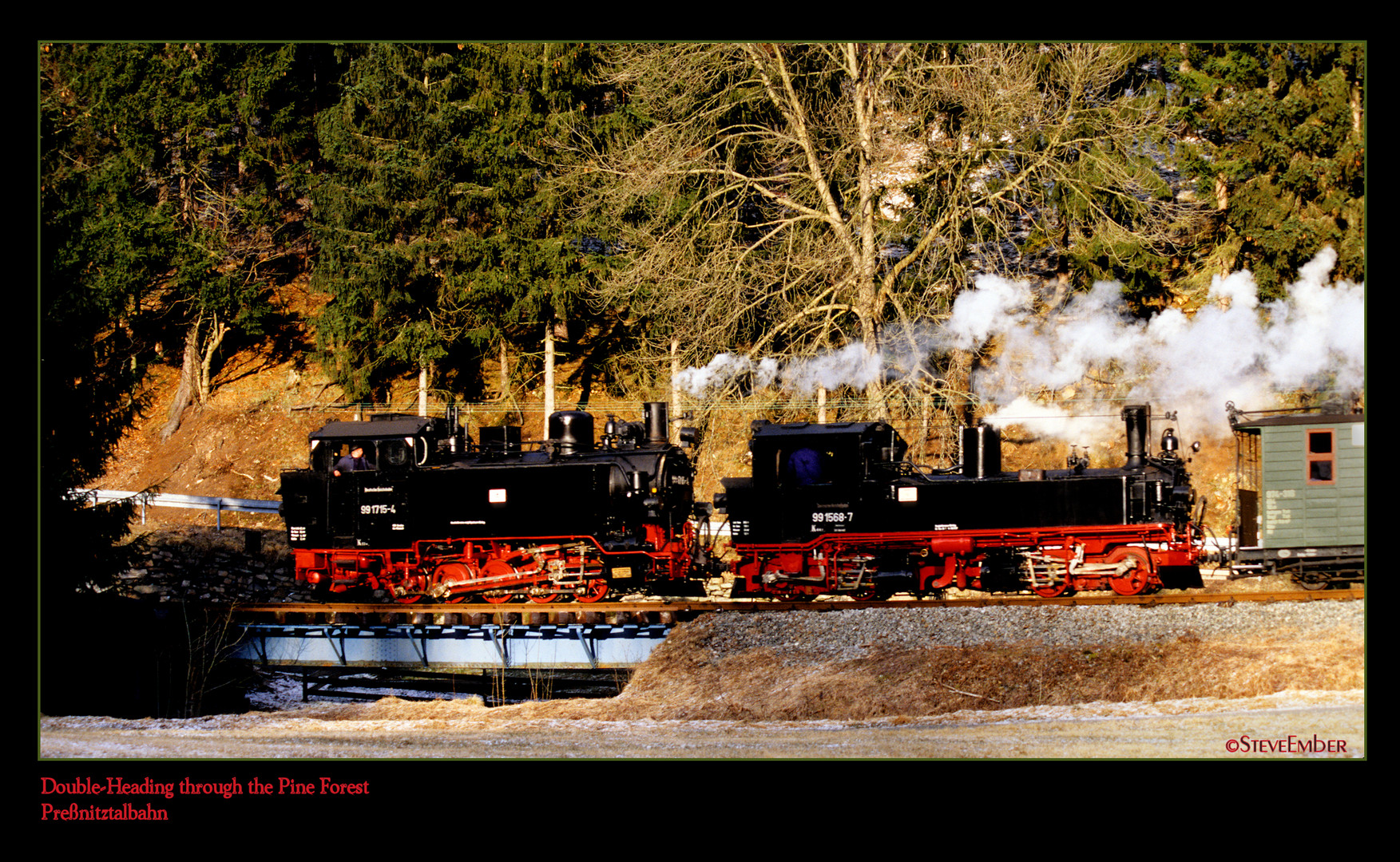 Double-Heading through the Pine Forest