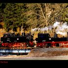 Double-Heading through the Pine Forest