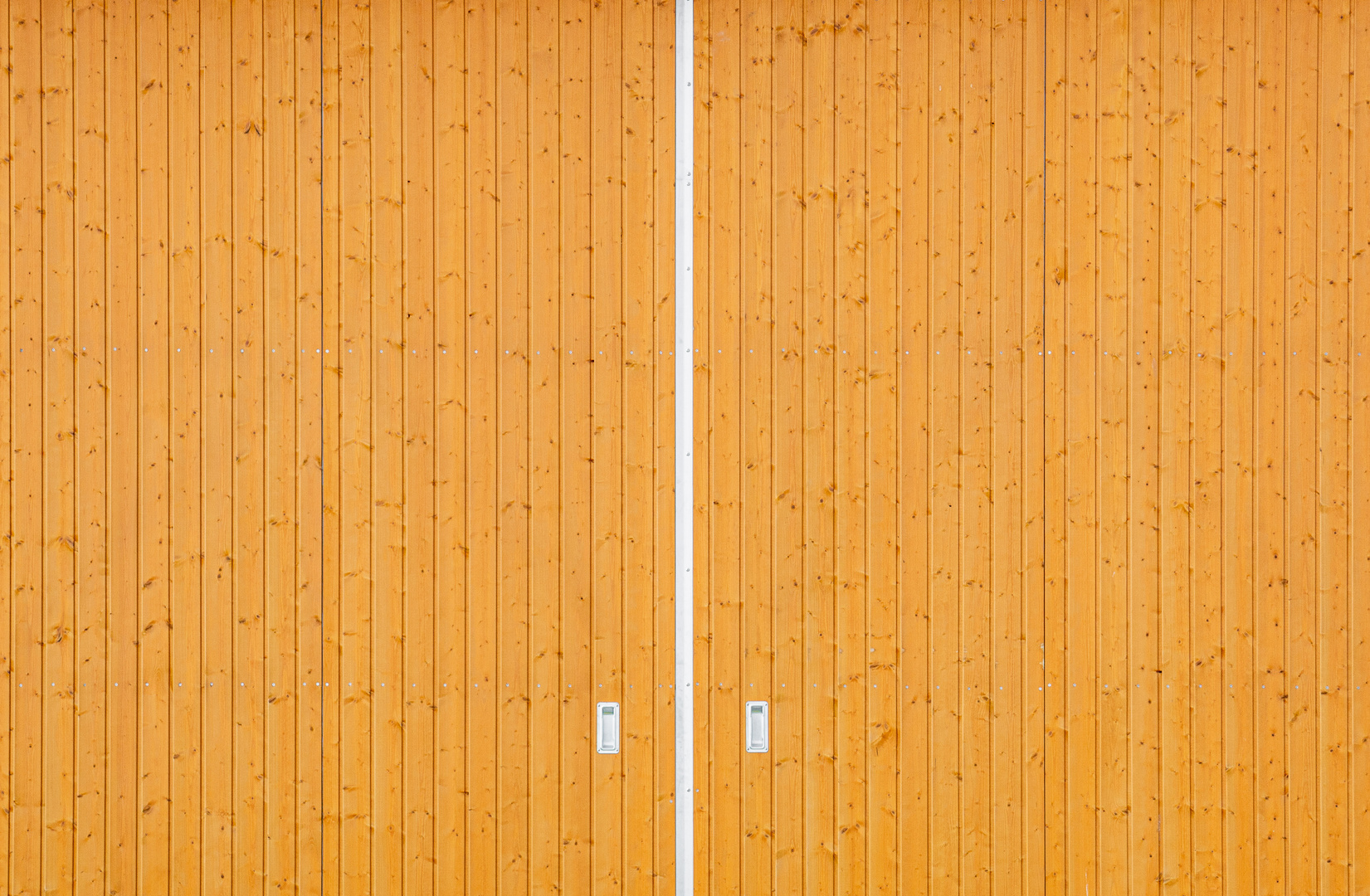 double-leaf barn door