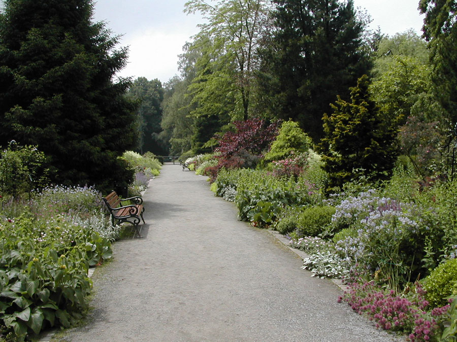 Double Mixed Border im Rombergpark Dortmund