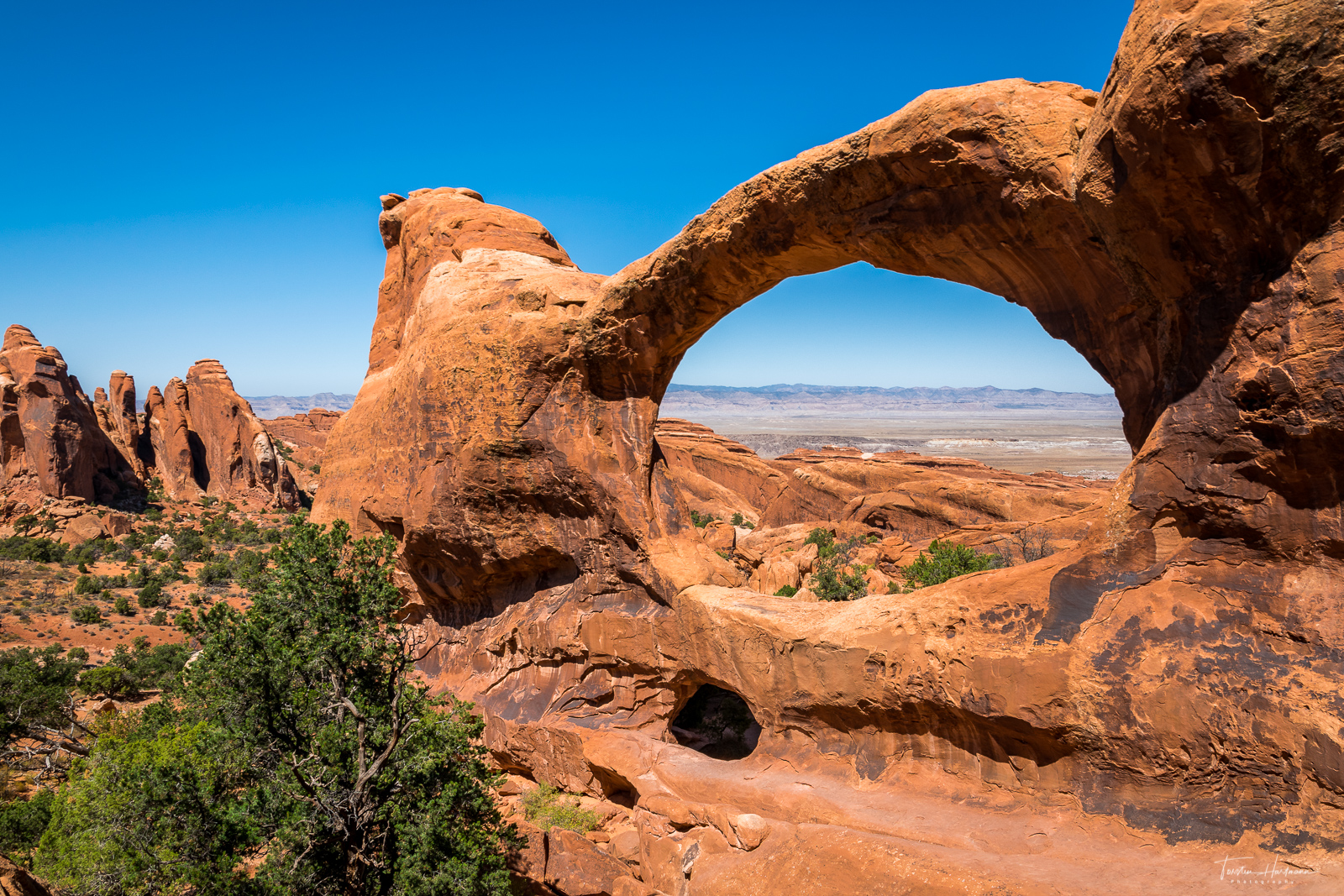 Double O Arch (USA)