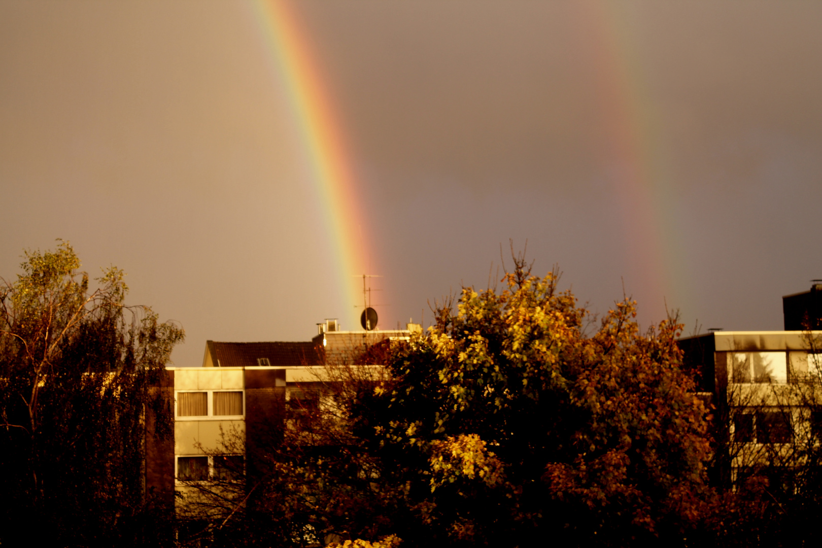 double rainbow