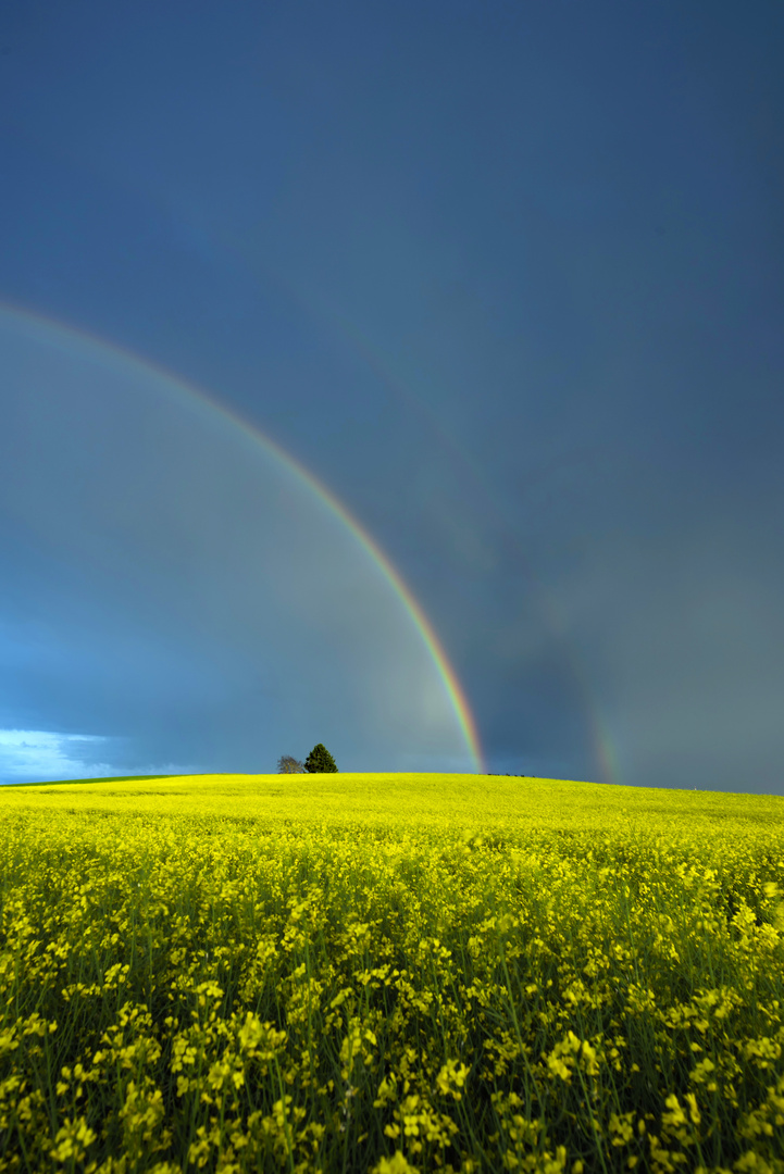 Double Rainbow