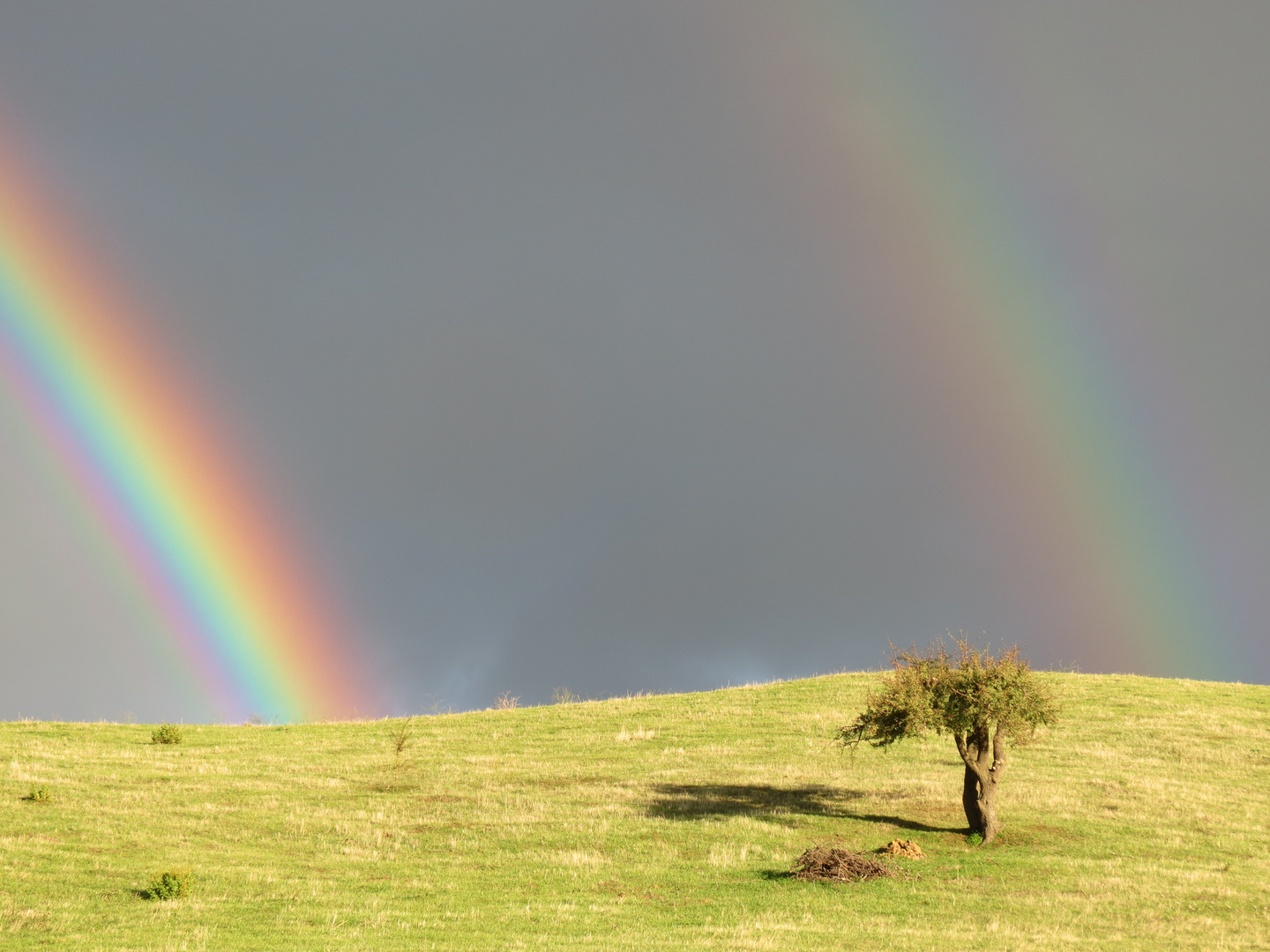 double rainbow