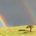 double rainbow