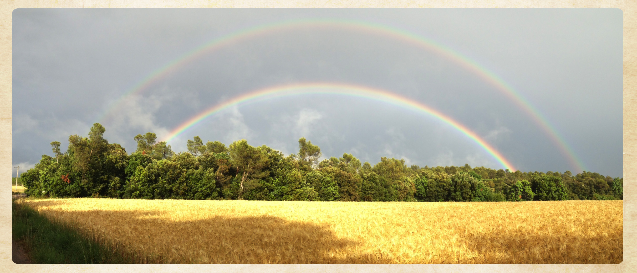 Double Rainbow Field