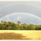 Double Rainbow Field