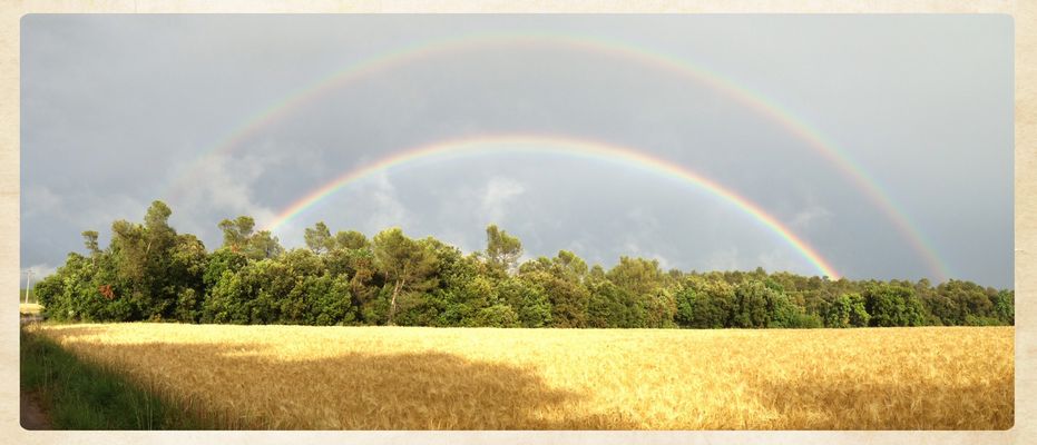 Double Rainbow Field