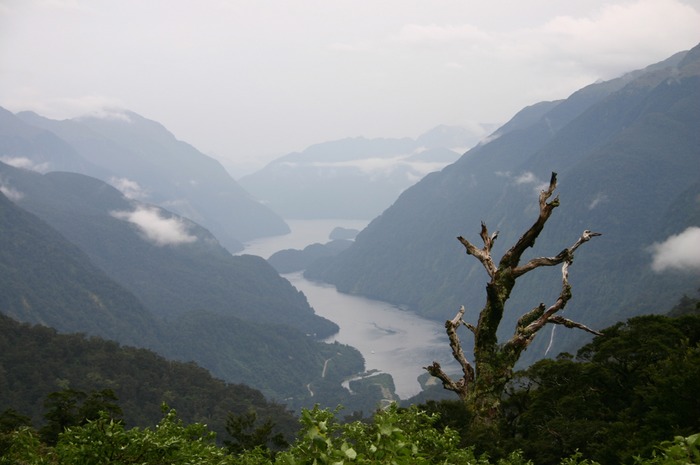 Doubtful Sound