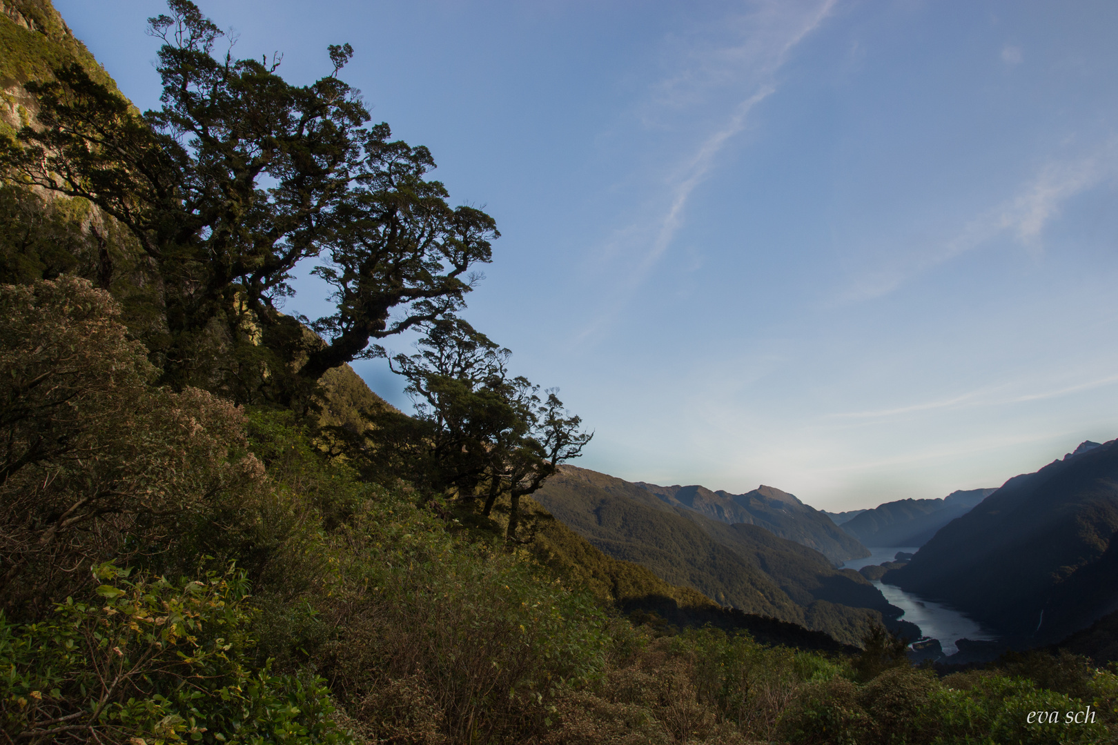 doubtful sound