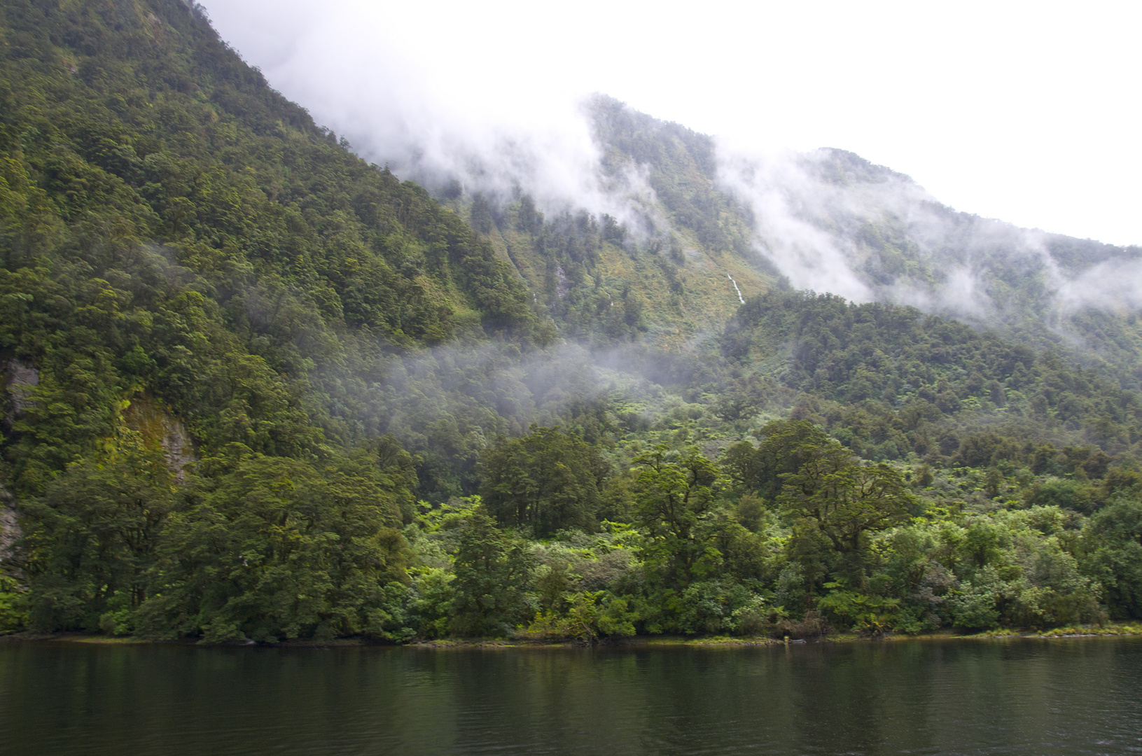 Doubtful Sound