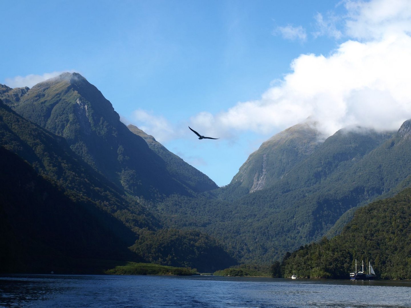 Doubtful Sound ...