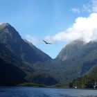 Doubtful Sound ...