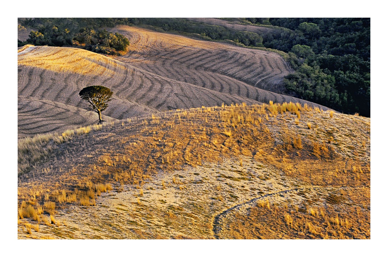 douce campagne à Voltera