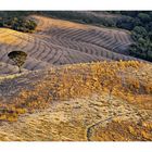 douce campagne à Voltera