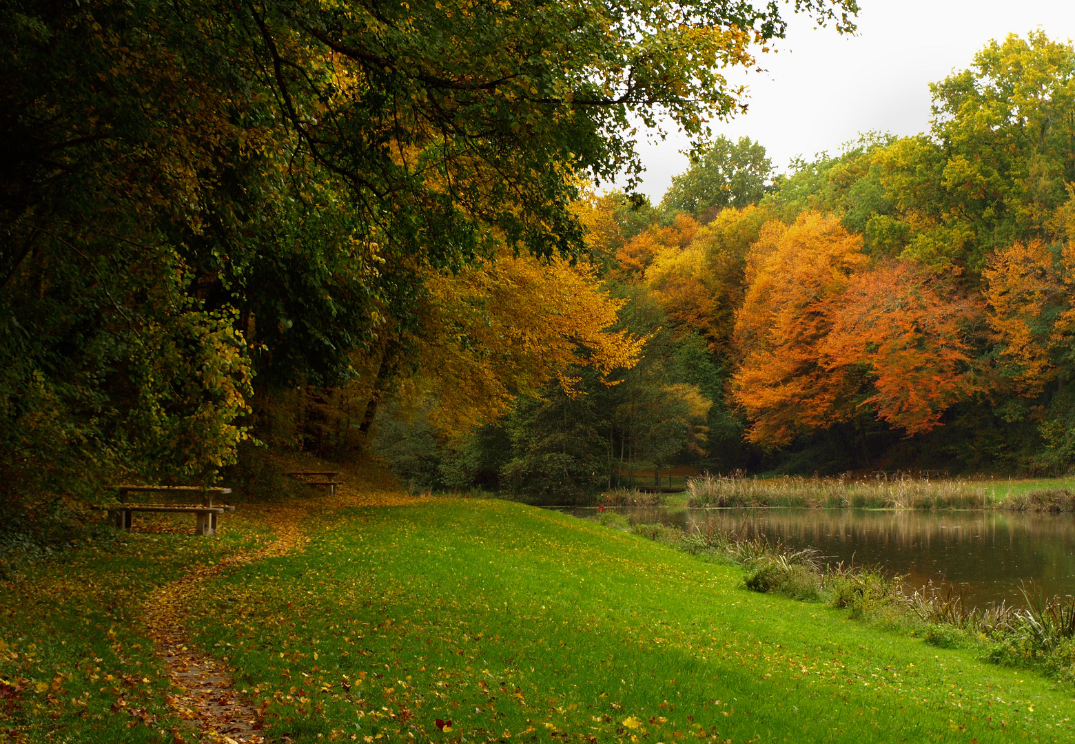 Douce couleur automnale