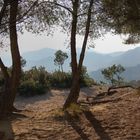 Douce lumière sur la colline