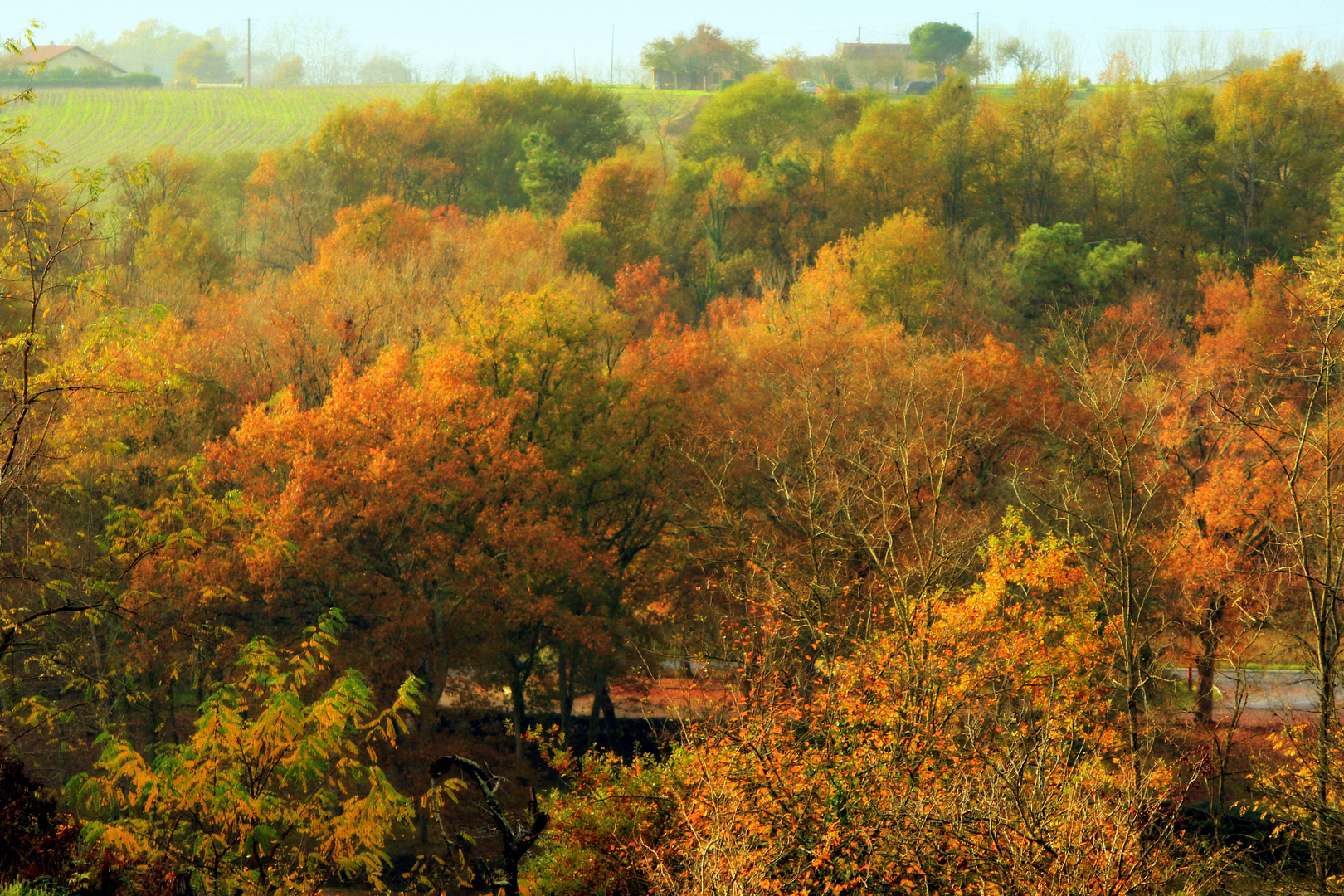 Douce Pluie d 'Automne