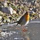 doucement sur la glace