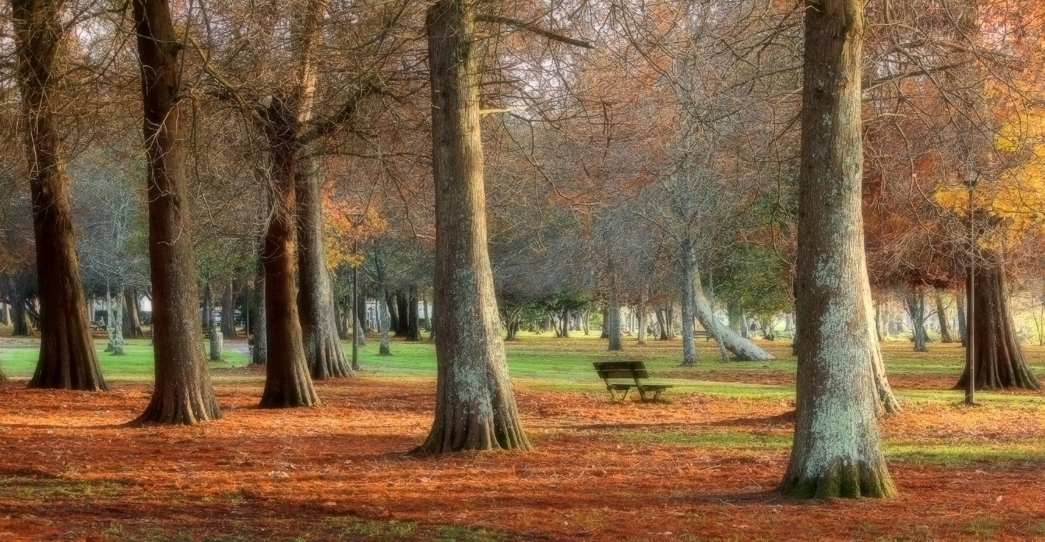 Douceur d un Banc d Automne......