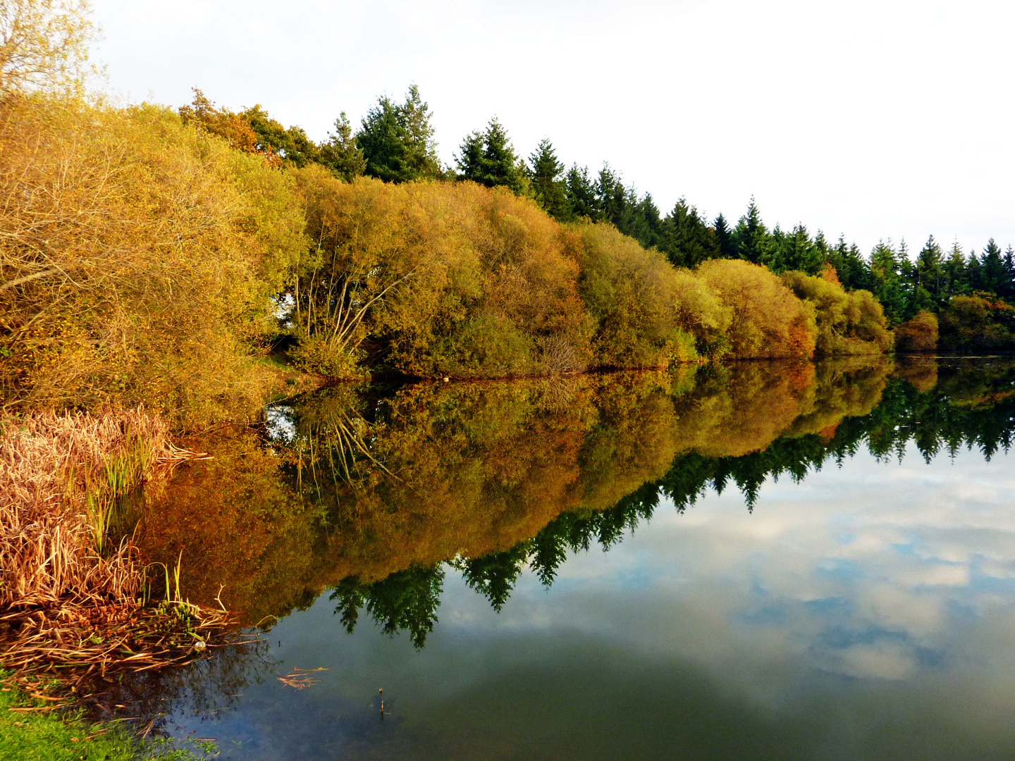 douceur d'automne