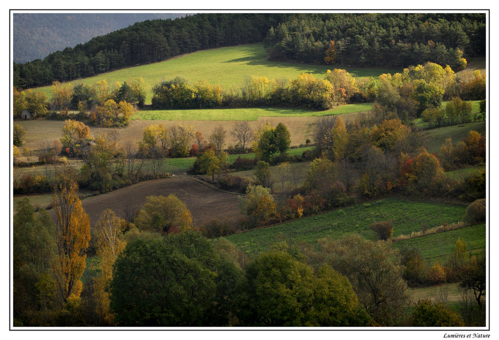 Douceur d'automne