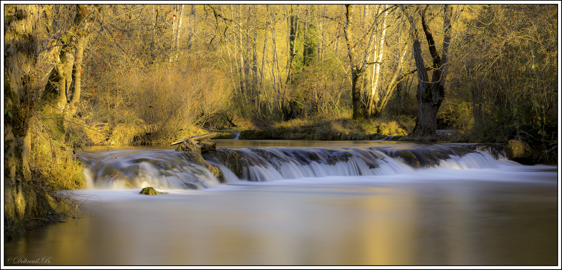 Douceur d'automne