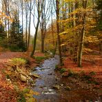 Douceur d'automne