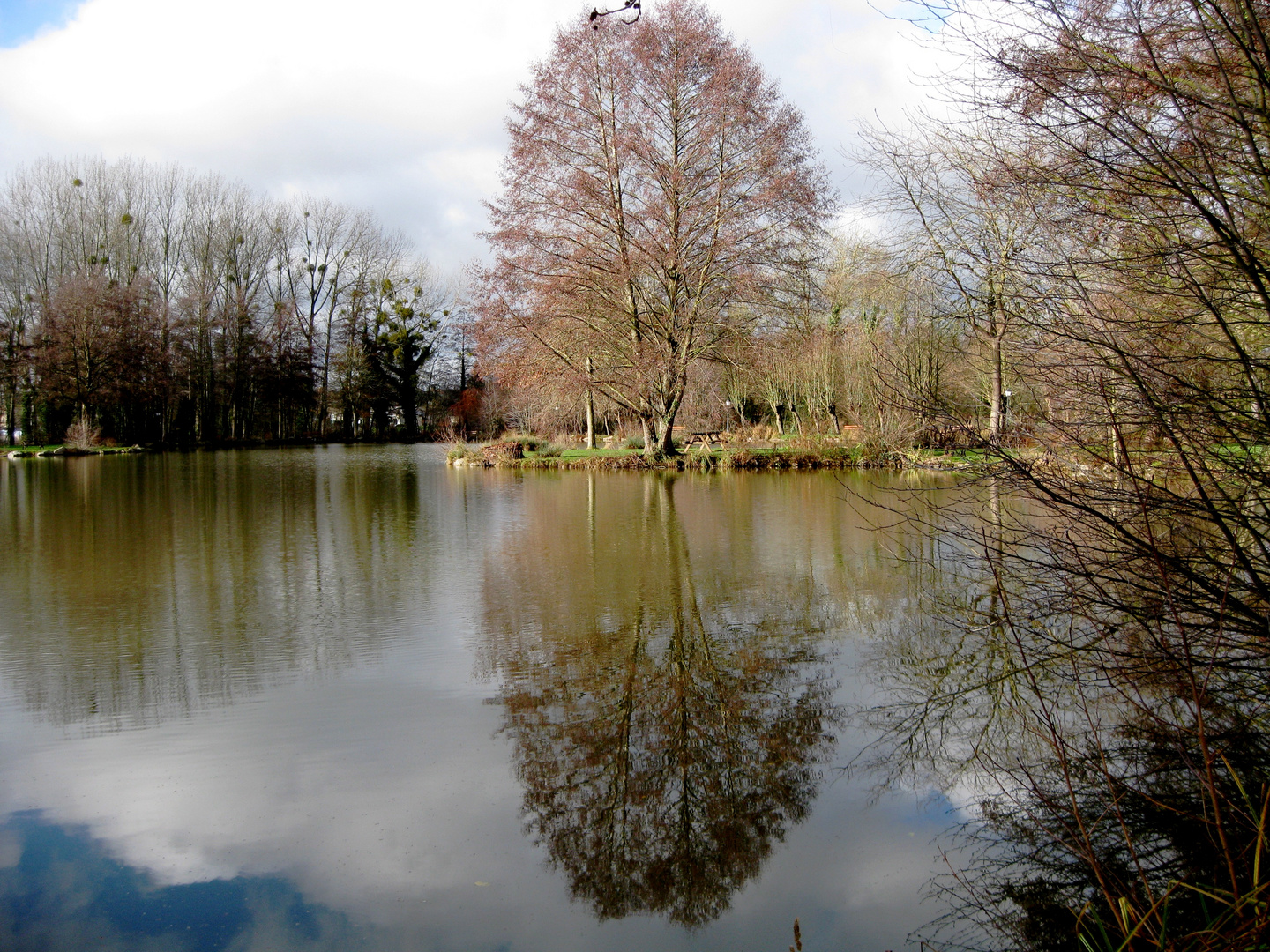 douceur d'automne