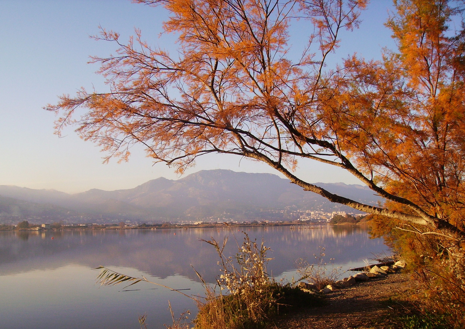 Douceur d'automne