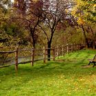  douceur de l'automne