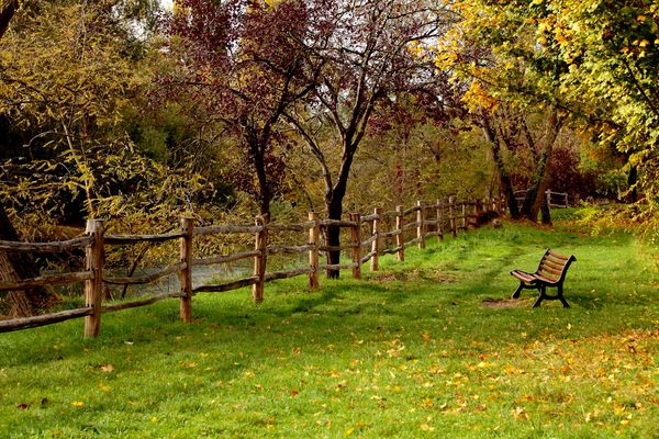  douceur de l'automne