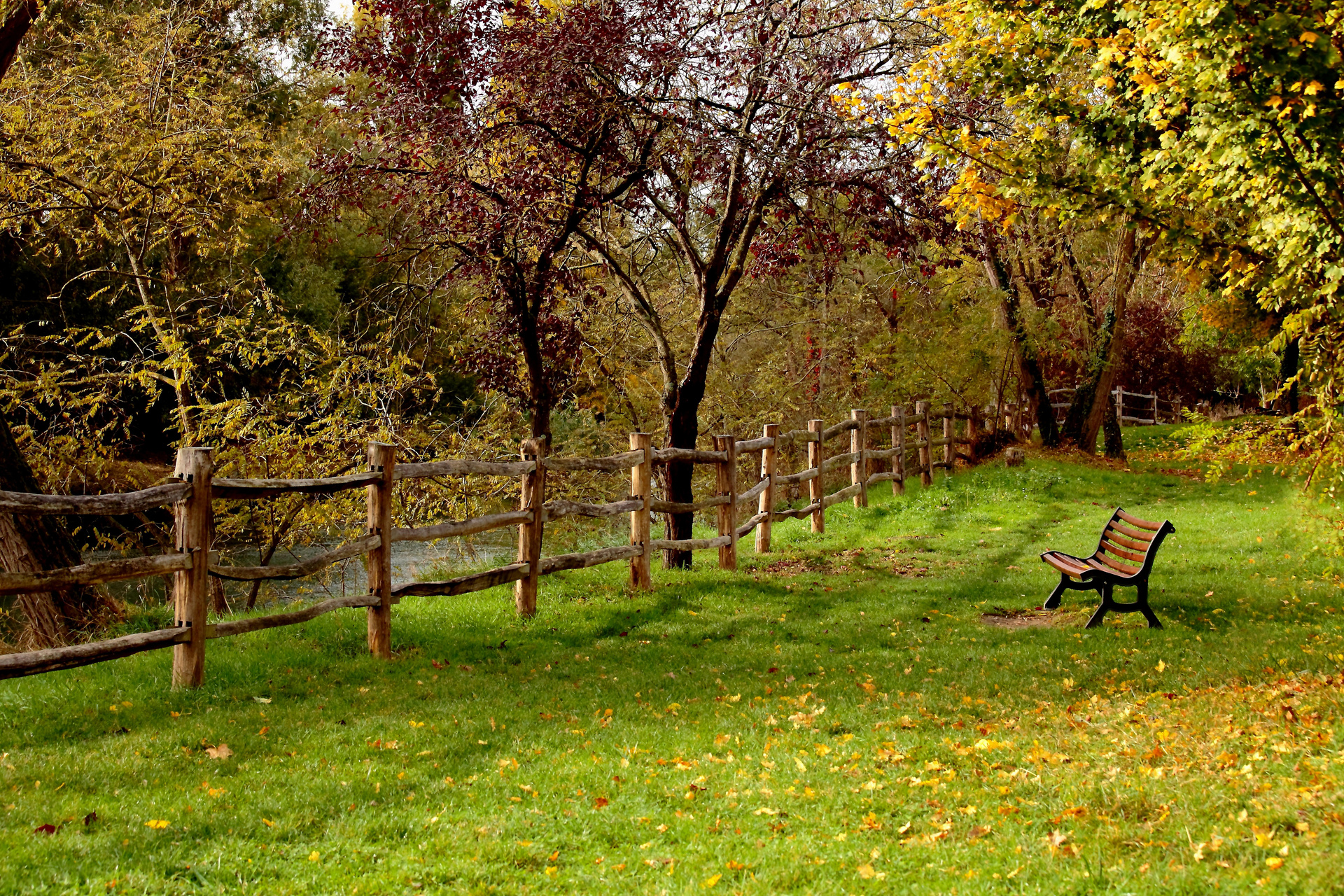  douceur de l'automne
