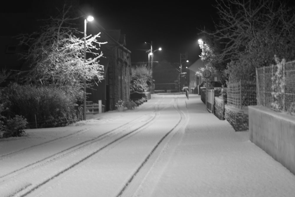 Douceur de l'hiver.