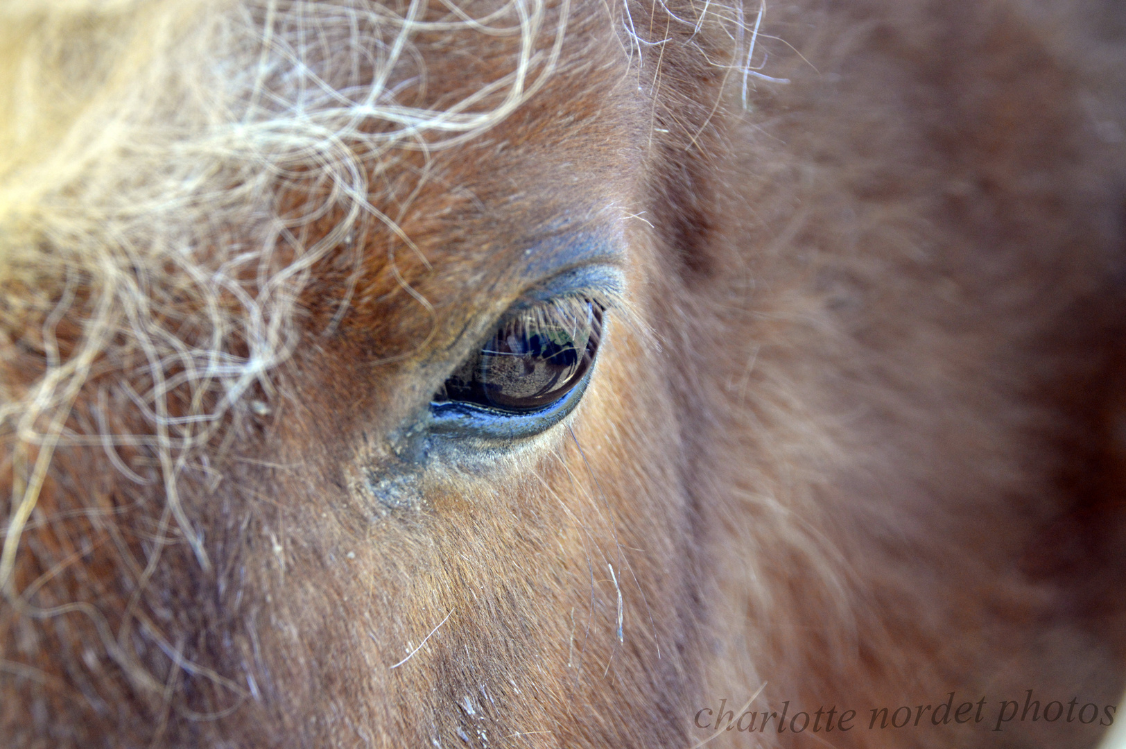 douceur de regard