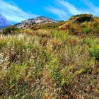 Douceur des calanques