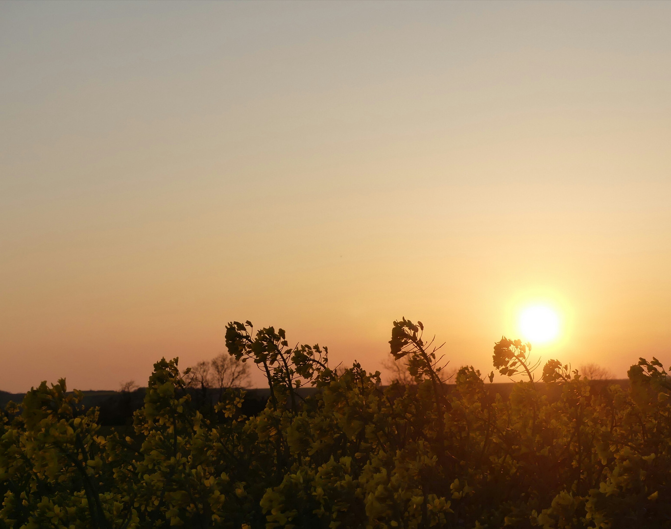 Douceur Du Soir Photo Et Image Les Saisons Printemps Nature Images Fotocommunity Douceur Du Soir Photo Et Image Les Saisons Printemps Nature Images Fotocommunity
