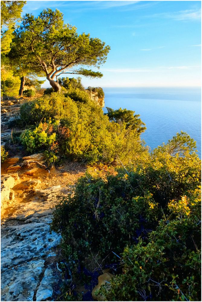 Douceur du Sud