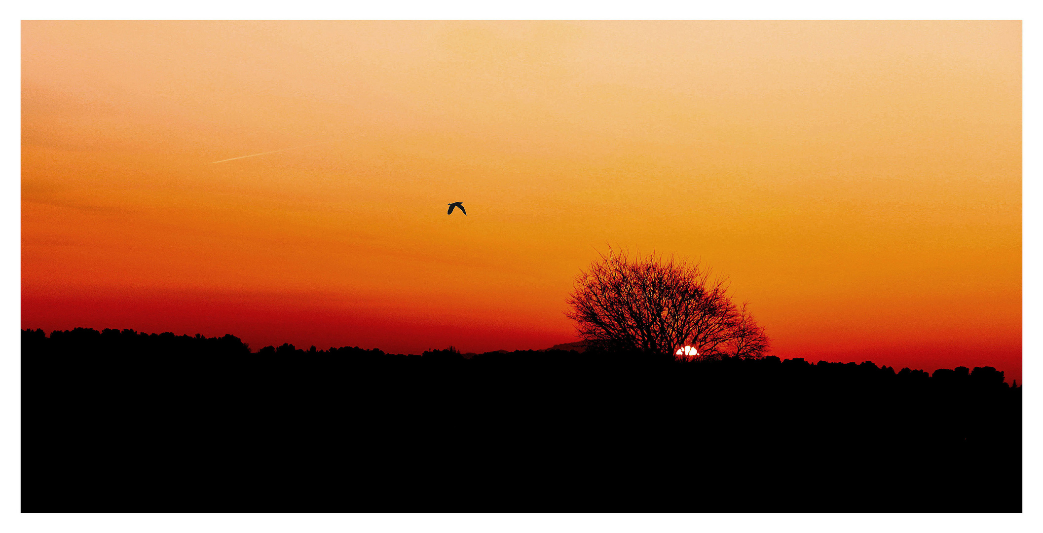 Douceur d'un soir de printemps