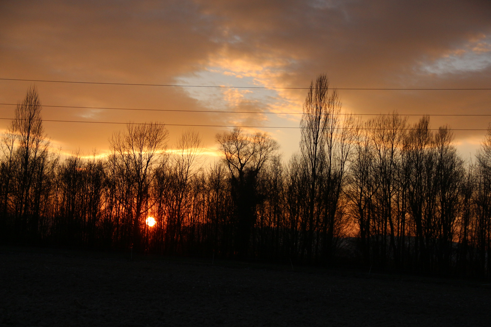 douceur d'un soir