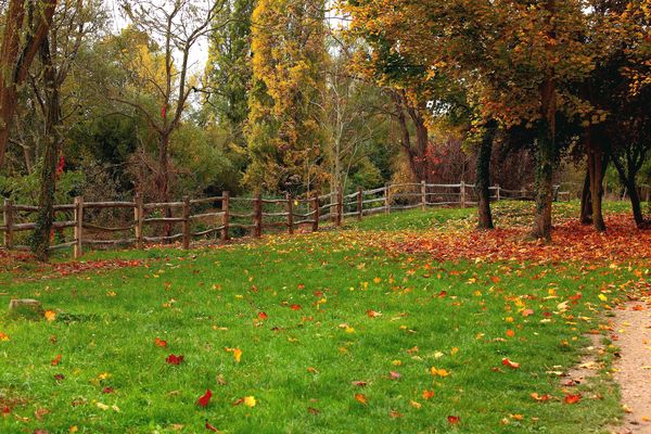 douceur et solitude d'automne