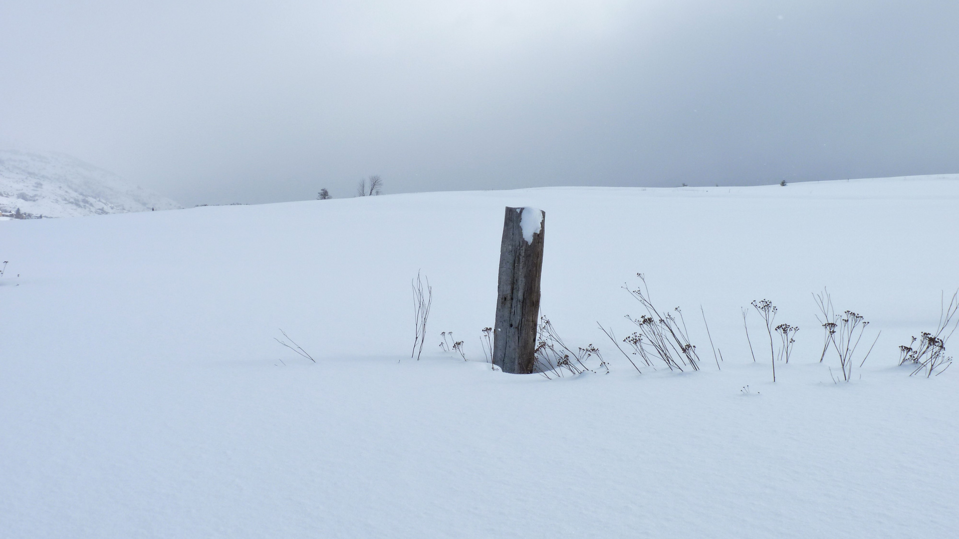 douceur hivernale